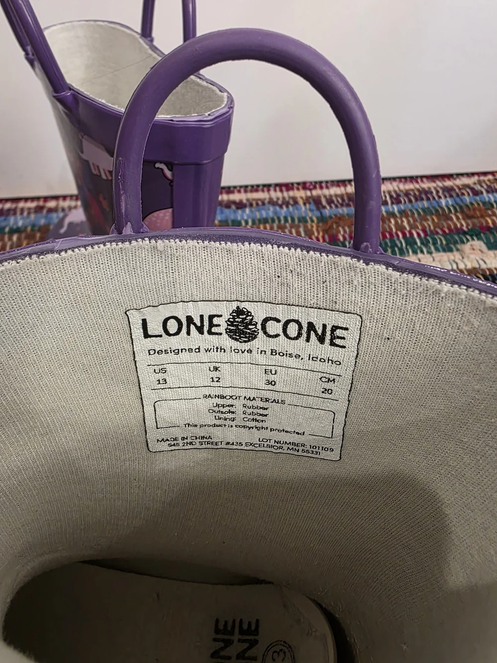 Lone Cone Dinosaur Rain Boots